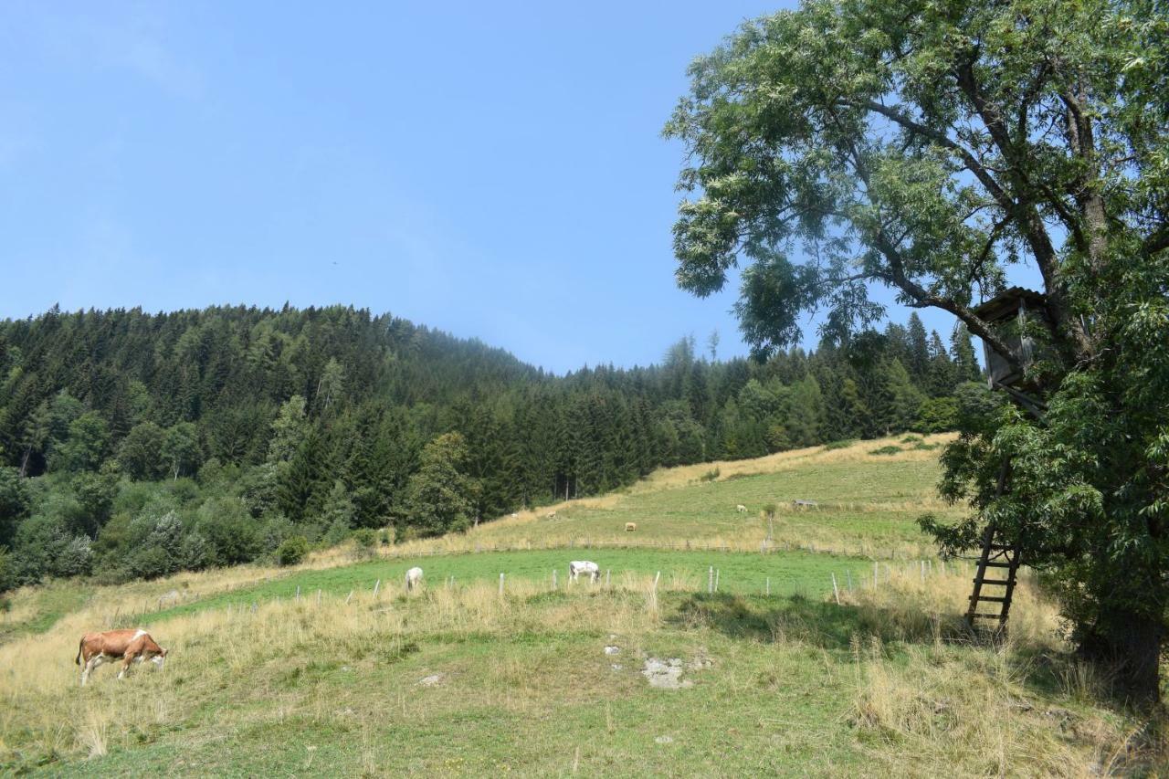 Ferienhaus Schleinzer Prebl Kültér fotó